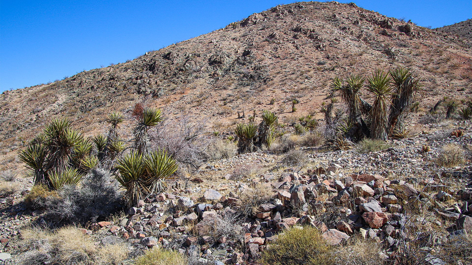 RodmanMtns12